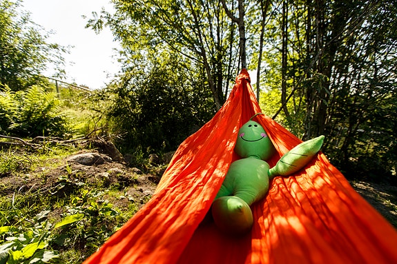 Bilde 7 av 7 i jobbannonse-galleriet