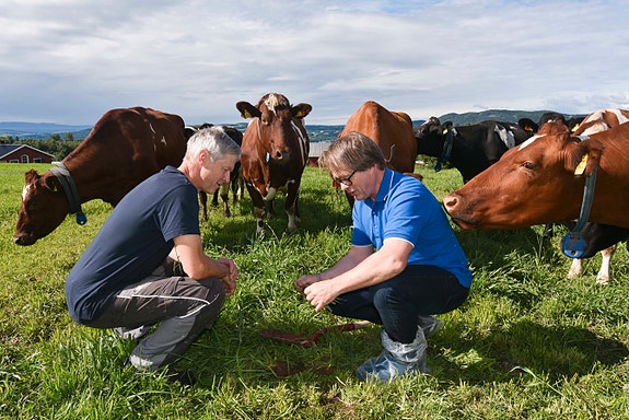 Bilde 2 av 4 i jobbannonse-galleriet