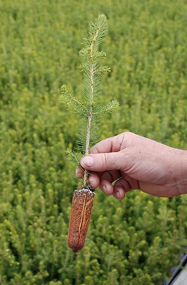 Bilde 6 av 6 i jobbannonse-galleriet