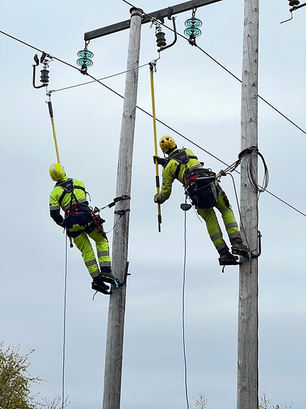 Bilde 3 av 10 i jobbannonse-galleriet