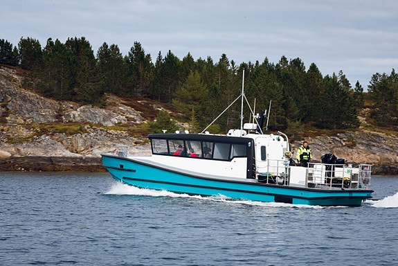 Bilde 2 av 3 i jobbannonse-galleriet