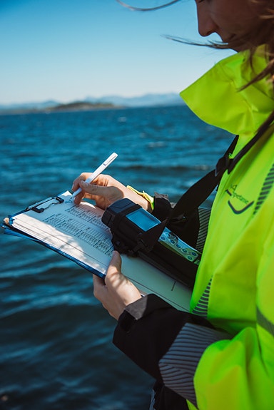 Bilde 3 av 3 i jobbannonse-galleriet