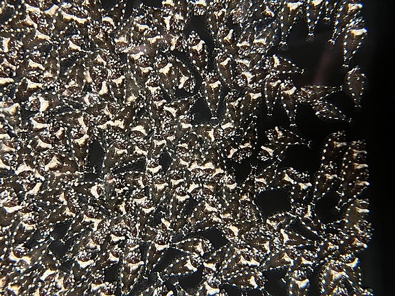 Bilde 5 av 6 i jobbannonse-galleriet