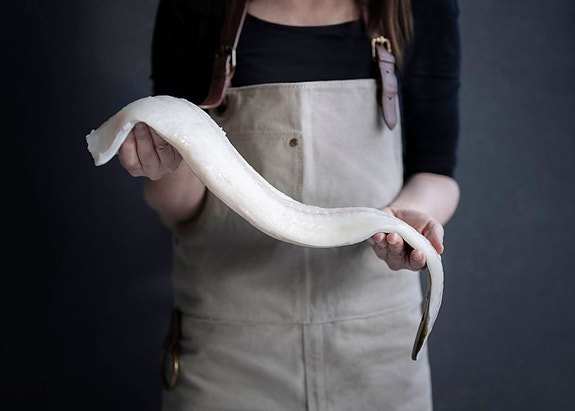 Bilde 1 av 6 i jobbannonse-galleriet