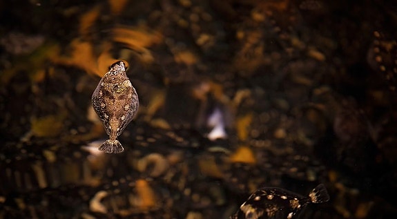 Bilde 6 av 6 i jobbannonse-galleriet