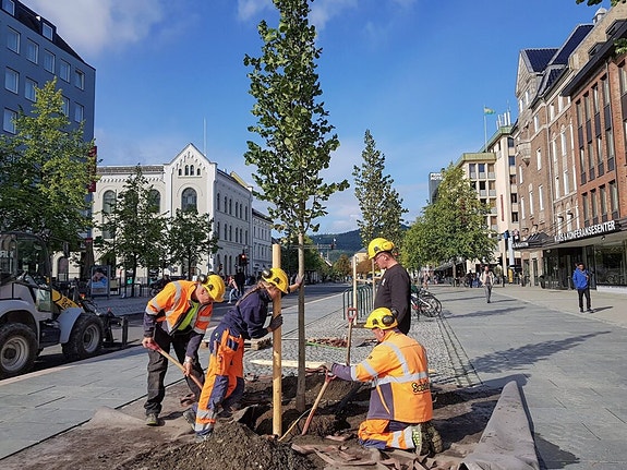 Bilde 3 av 6 i jobbannonse-galleriet