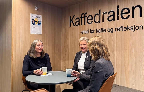 Bilde 3 av 3 i jobbannonse-galleriet