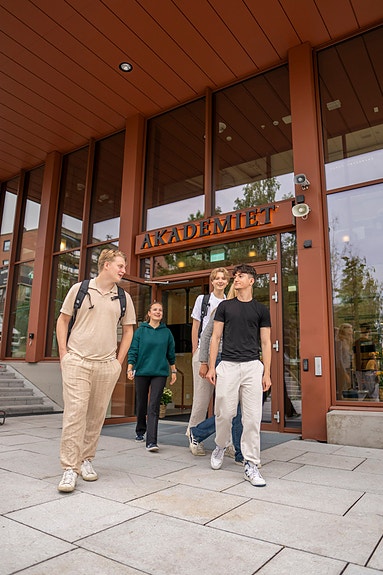 Bilde 3 av 4 i jobbannonse-galleriet