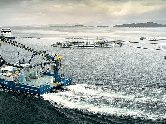 Bilde 1 av 1 i jobbannonse-galleriet