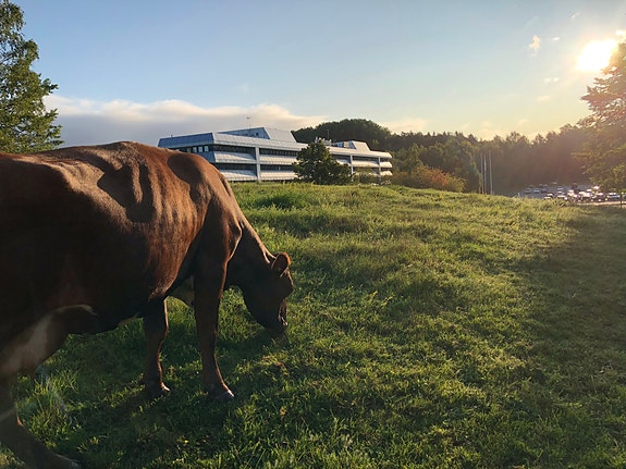 Bilde 1 av 3 i jobbannonse-galleriet