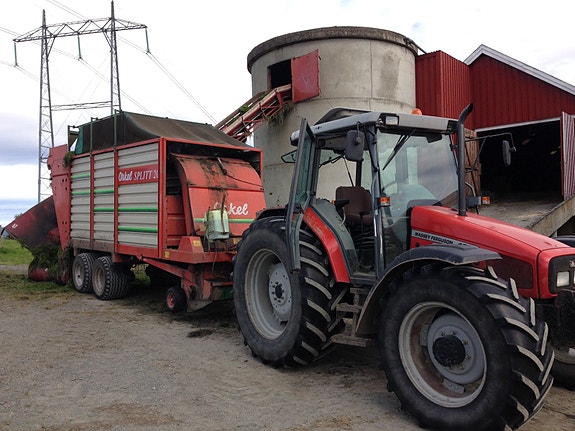 Massey Ferguson 4255 1999, kr 199 000,-