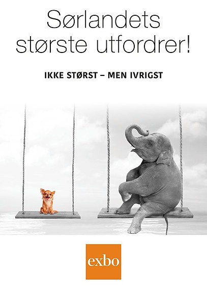 Bilde 1 av 1 i jobbannonse-galleriet