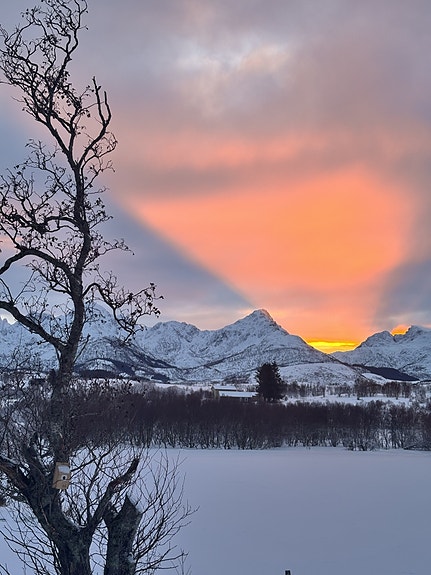 Bilde 4 av 5 i jobbannonse-galleriet