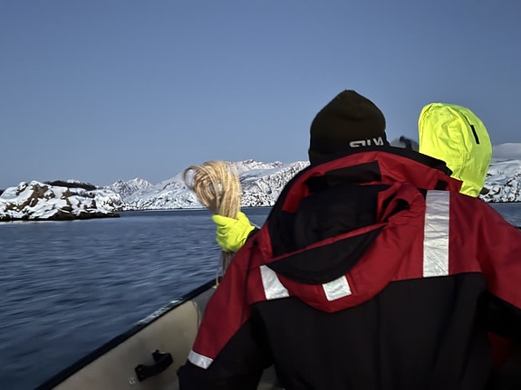 Bilde 2 av 5 i jobbannonse-galleriet