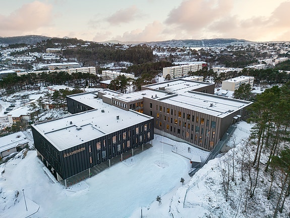 Åsaheimen, Oversikt bygg