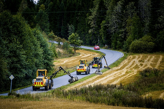 Bilde 1 av 1 i jobbannonse-galleriet