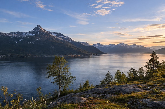 Bilde 1 av 1 i jobbannonse-galleriet