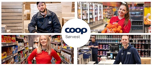 Bilde 1 av 1 i jobbannonse-galleriet