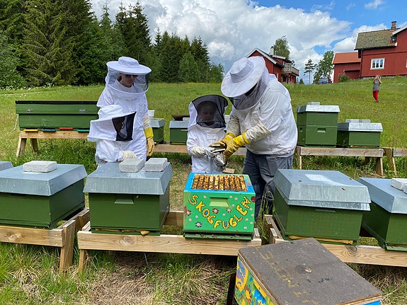 Bilde 4 av 4 i jobbannonse-galleriet