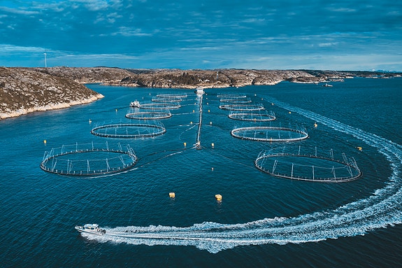 Bilde 5 av 6 i jobbannonse-galleriet