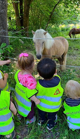 Bilde 2 av 7 i jobbannonse-galleriet