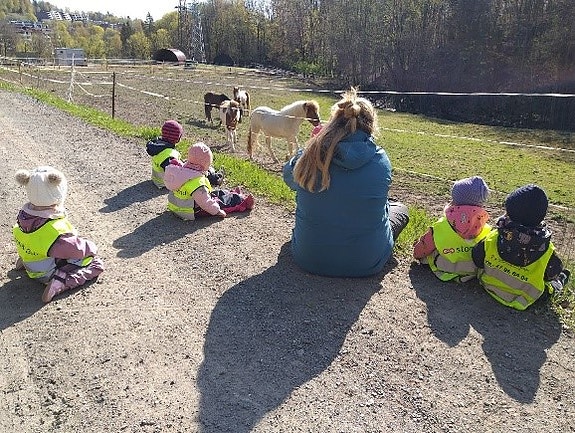 Bilde 3 av 7 i jobbannonse-galleriet