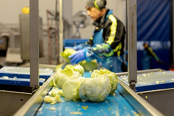 Bilde 1 av 1 i jobbannonse-galleriet