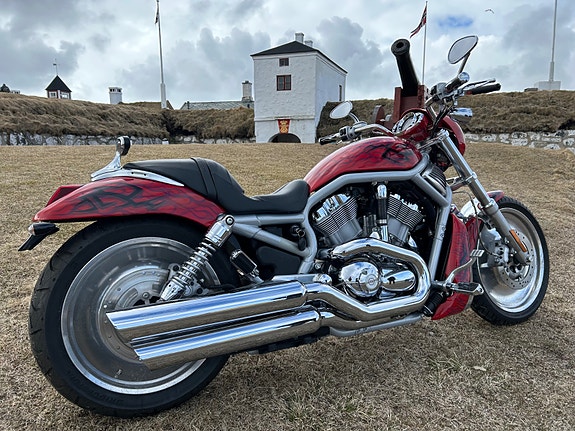 Harley-Davidson V-ROD Screamin Eagle / 117 hk / Custom 3 of 5