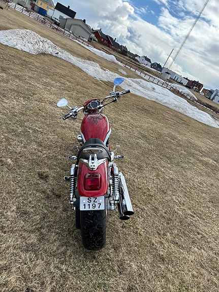 Harley-Davidson V-ROD Screamin Eagle / 117 hk / Custom 5 of 5