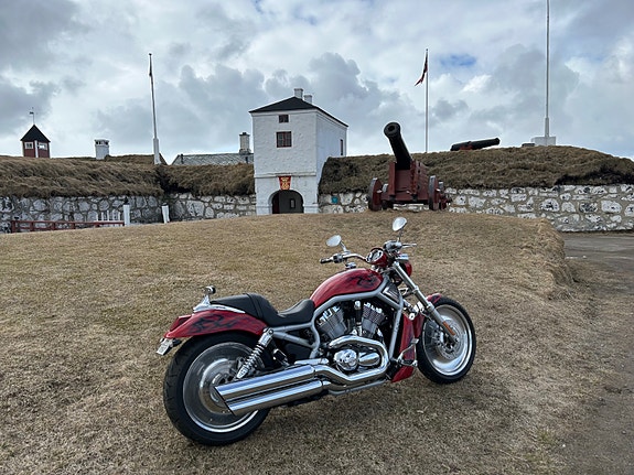 Harley-Davidson V-ROD Screamin Eagle / 117 hk / Custom 4 of 5