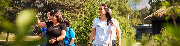 Bilde 1 av 4 i jobbannonse-galleriet