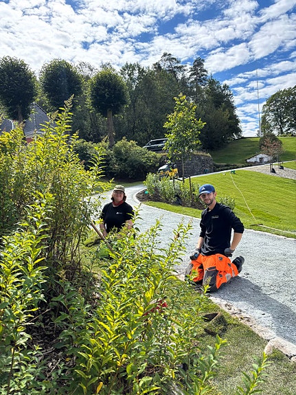 Bilde 8 av 9 i jobbannonse-galleriet