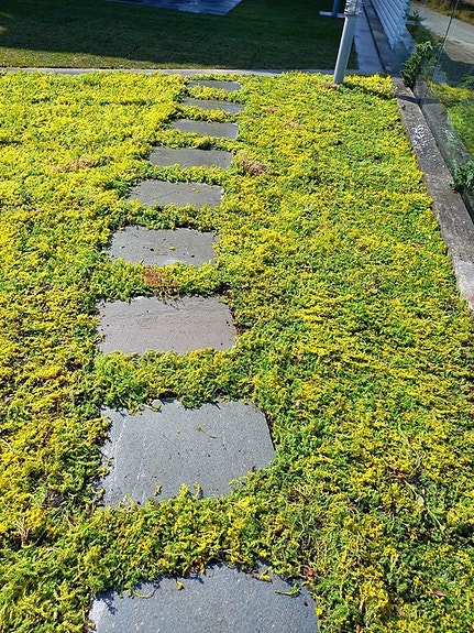 Bilde 10 av 10 i jobbannonse-galleriet