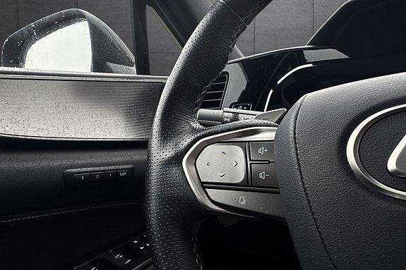 Lexus NX450h 18 of 30