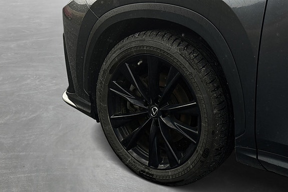Lexus NX450h 6 of 30