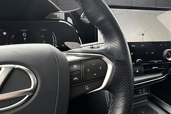 Lexus NX450h 19 of 30