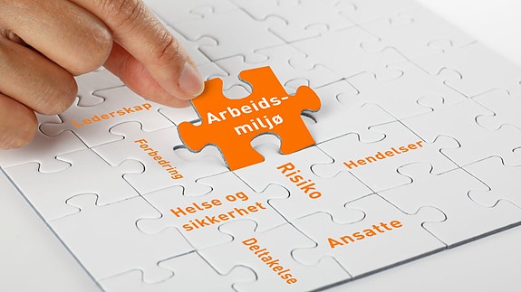 Bilde 1 av 1 i jobbannonse-galleriet