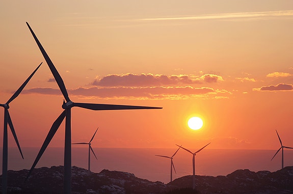 Bilde 1 av 1 i jobbannonse-galleriet