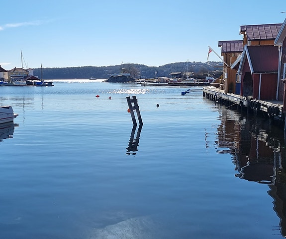 Bilde 8 av 9 i jobbannonse-galleriet