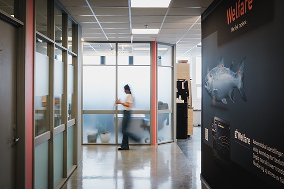 Bilde 2 av 3 i jobbannonse-galleriet