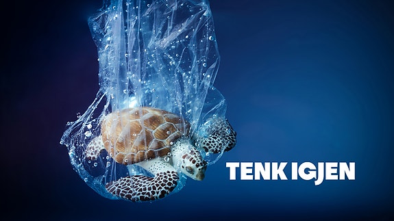 Bilde 4 av 4 i jobbannonse-galleriet