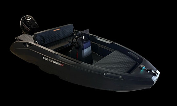 SeaStorm 13 s HPDE Advantage powered by Mercury F 60 ELPT EFI - Nyhet 2026! 5 of 13