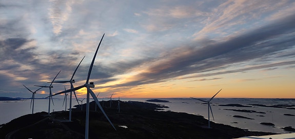 Bilde 1 av 3 i jobbannonse-galleriet