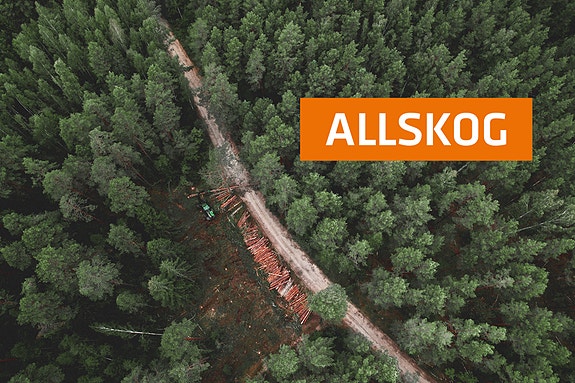 Allskog SA logo