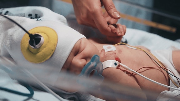 Bilde 1 av 1 i jobbannonse-galleriet