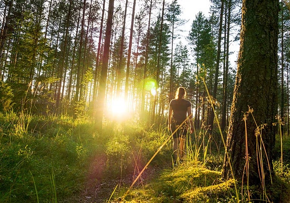 Bilde 4 av 9 i jobbannonse-galleriet