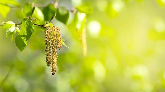 Bilde 6 av 9 i jobbannonse-galleriet