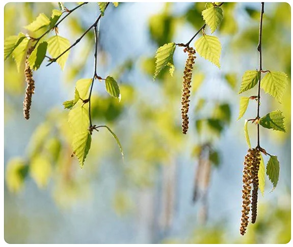 Bilde 5 av 9 i jobbannonse-galleriet