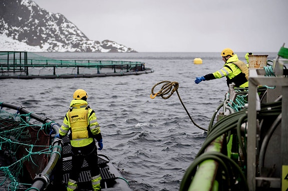 Bilde 5 av 5 i jobbannonse-galleriet