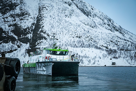 Bilde 2 av 5 i jobbannonse-galleriet